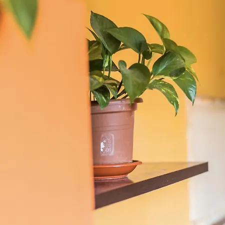 Apartamento Santo Cristo * Гранада